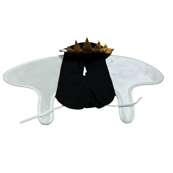 Disney Evil Queen Deluxe Costume - Picture 5 of 8